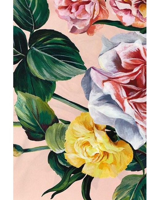 Foulard seta di Dolce & Gabbana in Multicolor