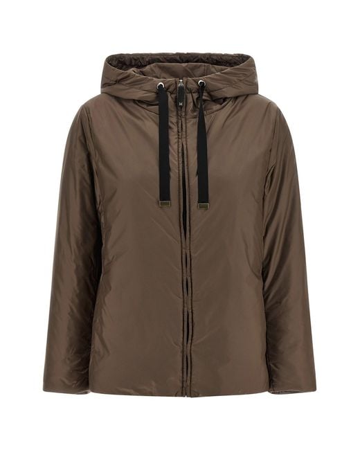 Max Mara Brown 'greenh' Jacket