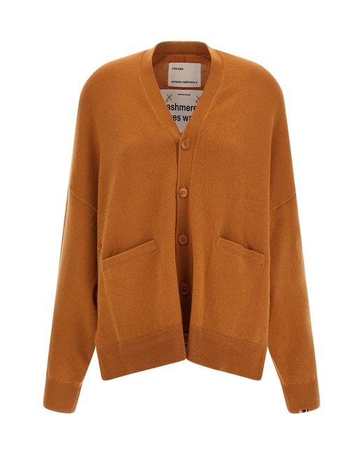Extreme Cashmere Brown 'n°24 Tokio' Cardigan