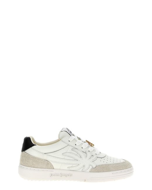 Palm Angels White 'palm Beach University' Sneakers