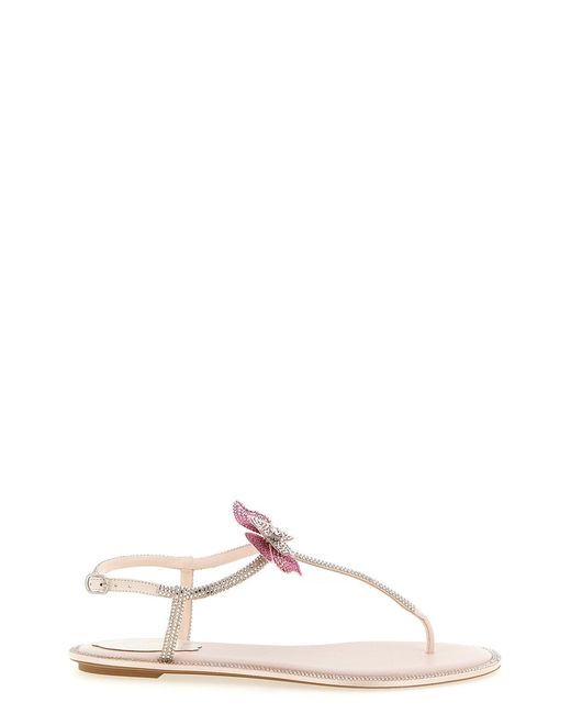 Rene Caovilla Multicolor Renã Caovilla 'Fairy' Sandals