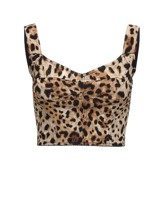 Dolce & Gabbana Brown 'leopardo' Bustier Top