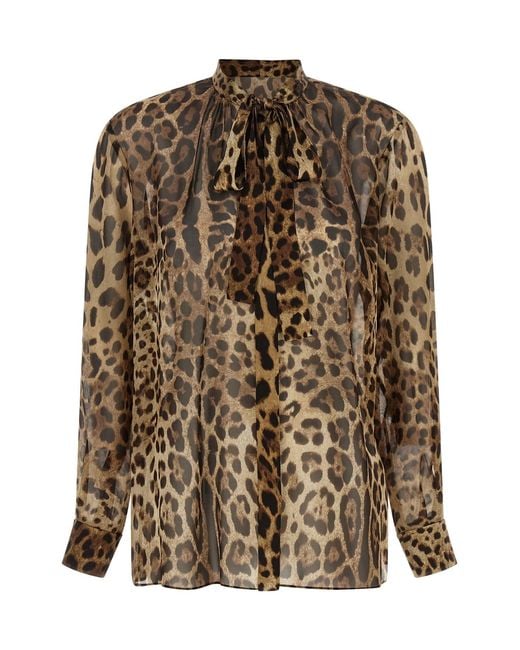Dolce & Gabbana Brown 'leo' Shirt