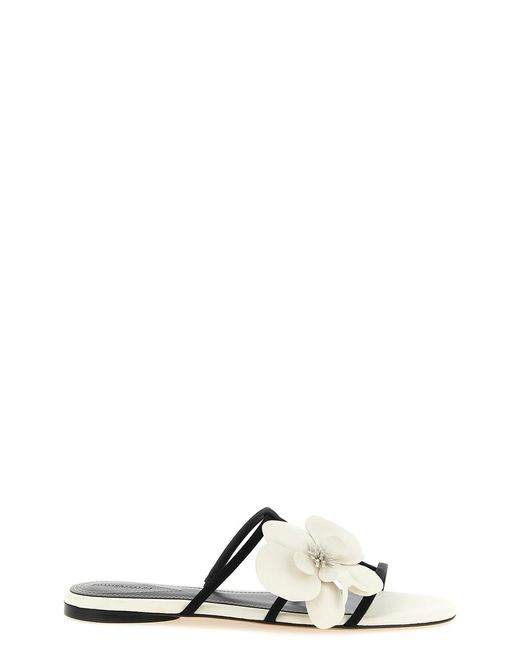 Zimmermann Black 'orchid' Slides