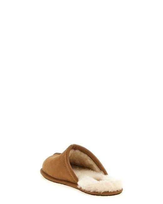 Pantofole 'Scuff' di Ugg in Brown da Uomo