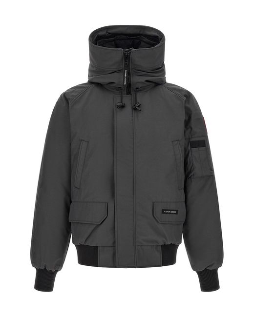 Canada Goose Gray Padded 'chilliwack' Bomber Jacket for men