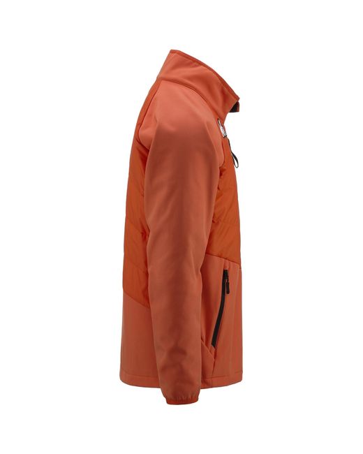 6Cento 698 Kappa de color Brown