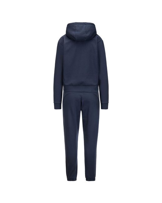 Logo Fesa Kappa de color Blue