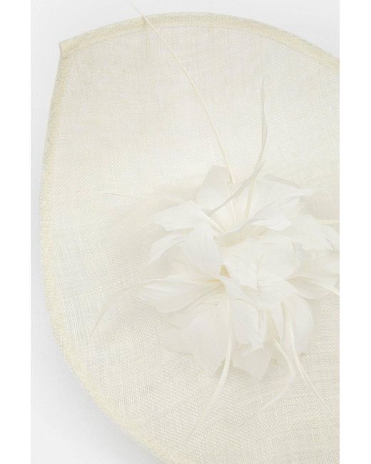 Karen Millen White Feather & Quill Disc Fascinator