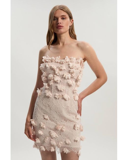 Karen Millen Brown Applique Lace Corset Woven Mini Dress