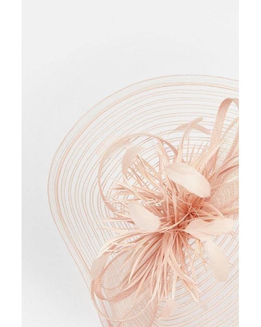 Karen Millen White Feather Detail Fascinator
