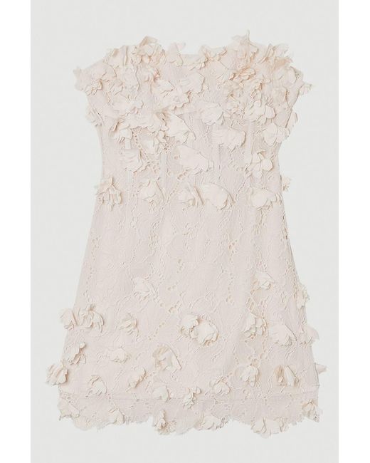 Karen Millen Brown Applique Lace Corset Woven Mini Dress