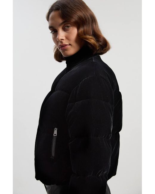 Karen Millen Black Padded Velvet Short Coat