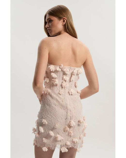 Karen Millen Brown Applique Lace Corset Woven Mini Dress