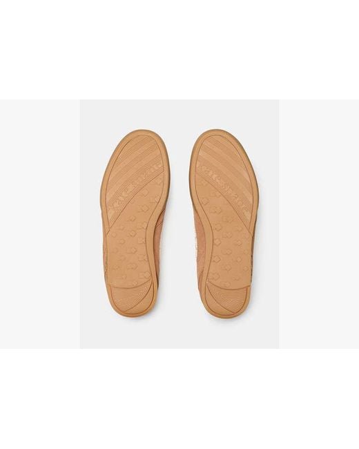 Kate Spade Brown Ks Drift Sneaker