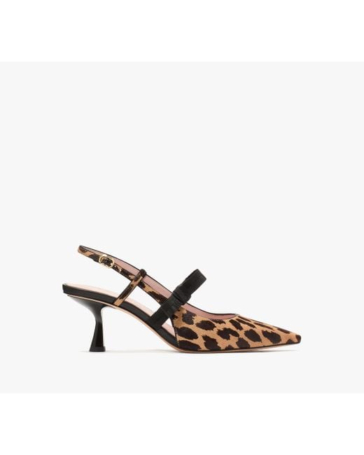 Kate Spade Multicolor Maritza Leopard Slingback-Pumps