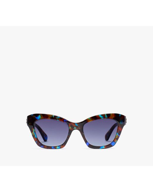 Kate Spade Blue Daina Sunglasses