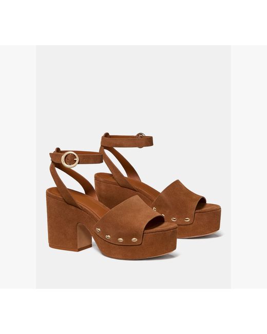 Kate Spade Brown Halo Platform Sandal