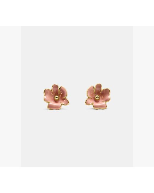 Kate Spade White Golden Bloom Flower Studs
