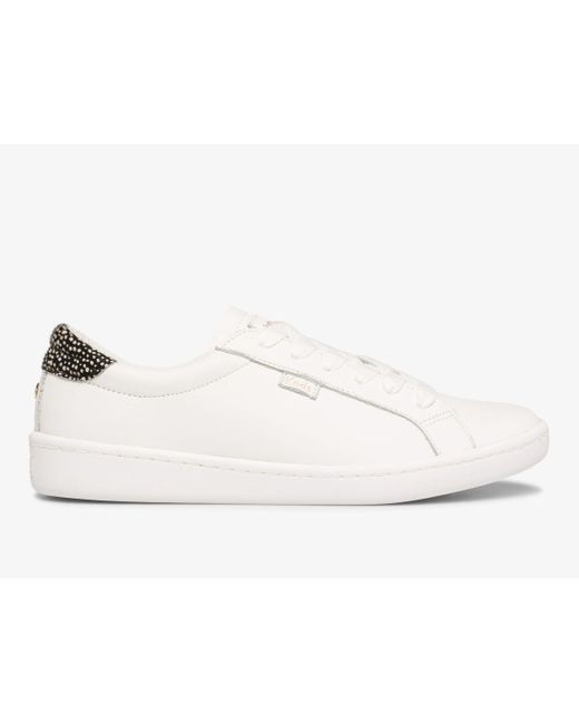 Keds Keds X Kate Spade New York Ace Leather Calf Hair in White 