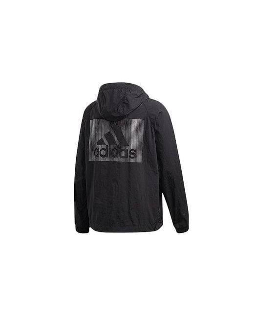 Adidas Blue Logo Casual Sports Hooded Jacket for men