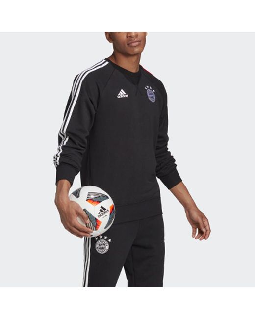 Adidas Blue Fcb Swt Top Bayern Munich Soccer/Football Sports Pullover for men