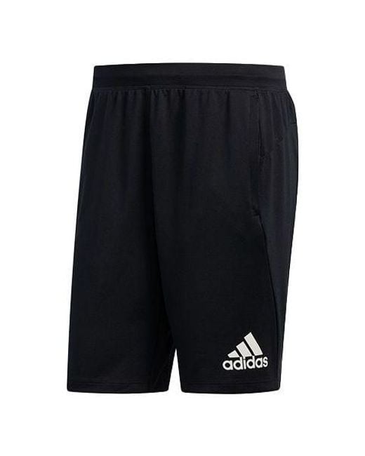 Adidas Black Climawarm Short Training Sports Shorts for men