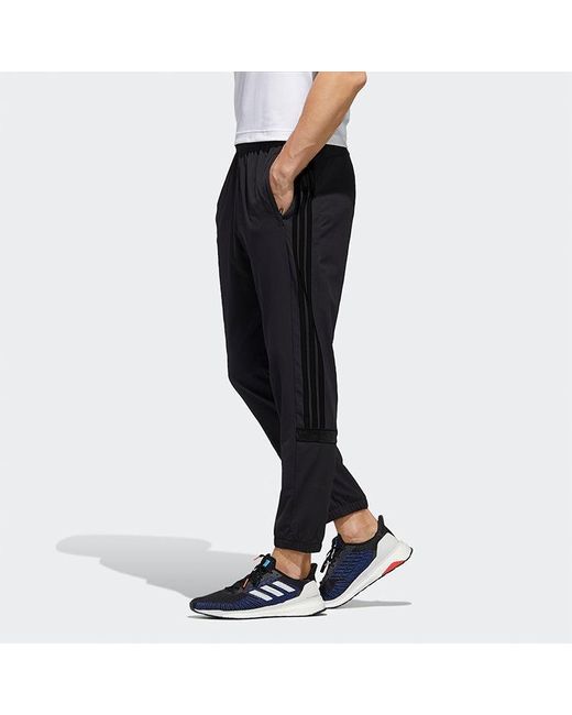 Adidas Black Ub Pnt Tiro Casual Sports Pants for men