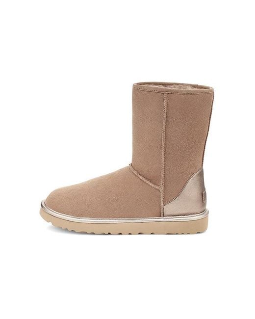 Ugg Brown (Wmns) Classic Short Shine