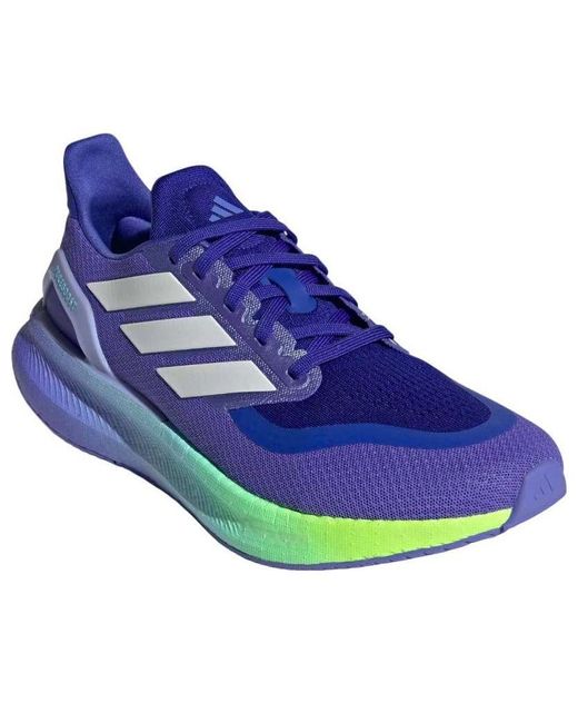 Adidas Blue Pureboost 5 'Cobalt' for men