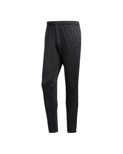 Adidas Black Response Astro Sports Knitted Pants for men