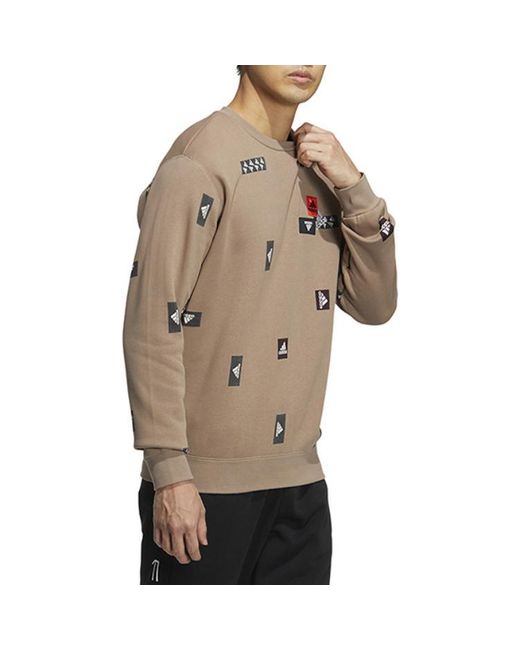 Adidas Brown Fw22 for men