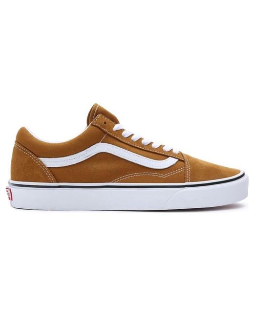 Vans Brown Old Skool 'Color Theory for men