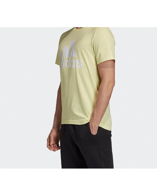 Adidas Yellow Large Logo Sports Stylish Short Sleeve for men