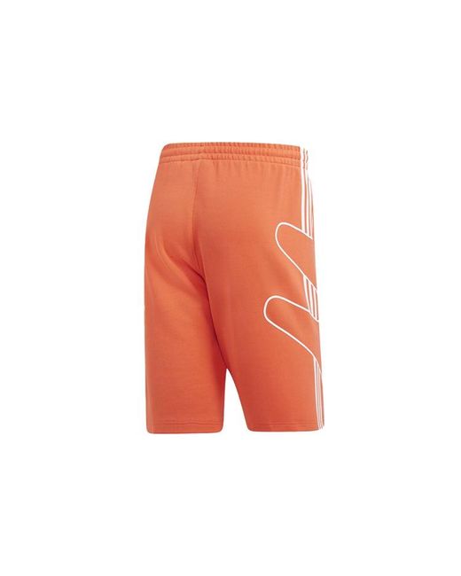 Adidas Orange Originals Pattern Printing Casual Sports Shorts for men