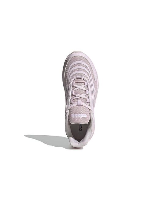 Adidas Purple (Wmns) Crazychaos 2.0