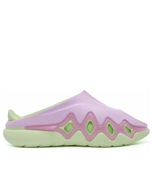 Rigorer Purple Shark 3 for men