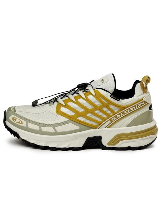 Salomon Metallic Acs Pro Gore-Tex 'Cicle Antelope' for men