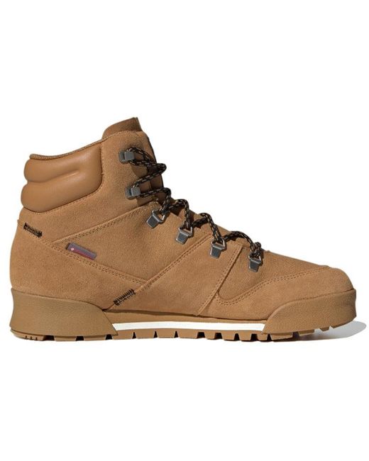 Adidas Brown Terrex Snowpitch Cold.Rdy 'Mesa' for men