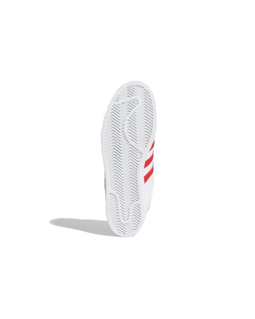 Adidas Red Adidas Superstar for men