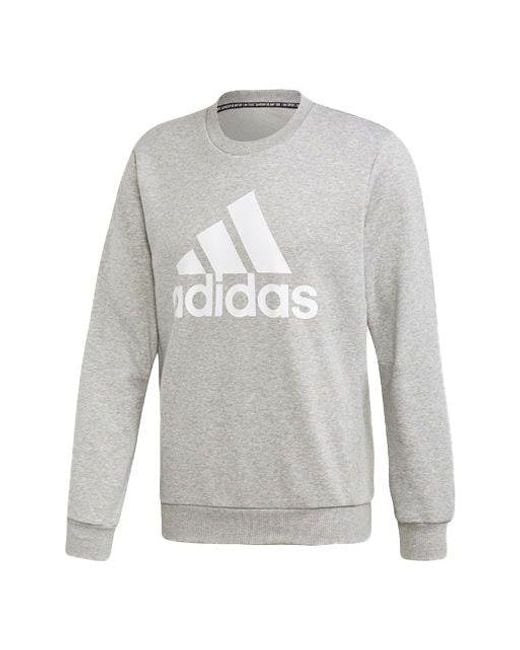 Adidas Gray Athleisure Casual Sports Printing Logo Round Neck Pullover for men