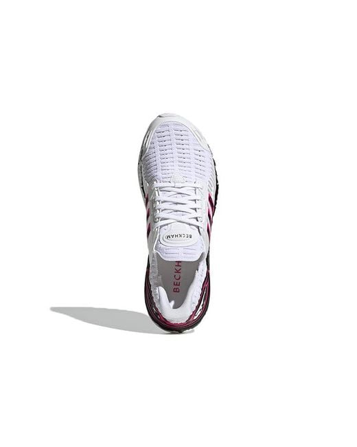 Adidas Blue David Beckham X Ultraboost Cc_1 Dna Shock' for men