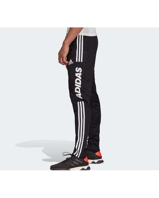 Adidas Black Tiro Ds Pnt Footballsports Long Pants for men