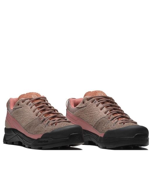 Salomon Brown X-Alp Suede for men