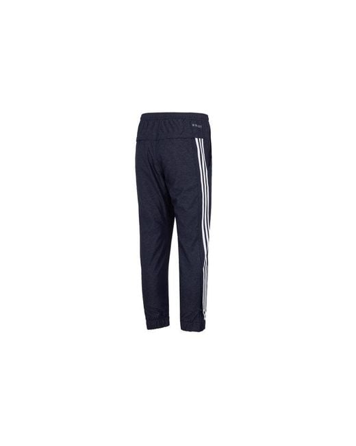Adidas Blue 247 Wind Pnt for men