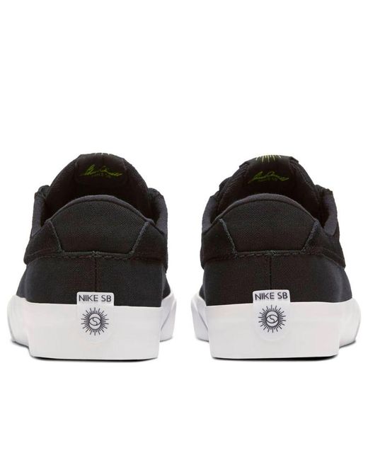 Nike Brown Sb Shane for men