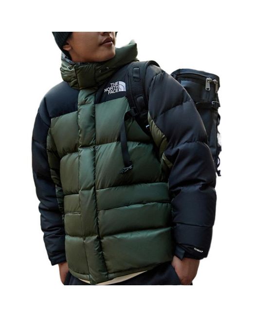 The North Face Winter Puffer Jacket 'Olivegreen' for men