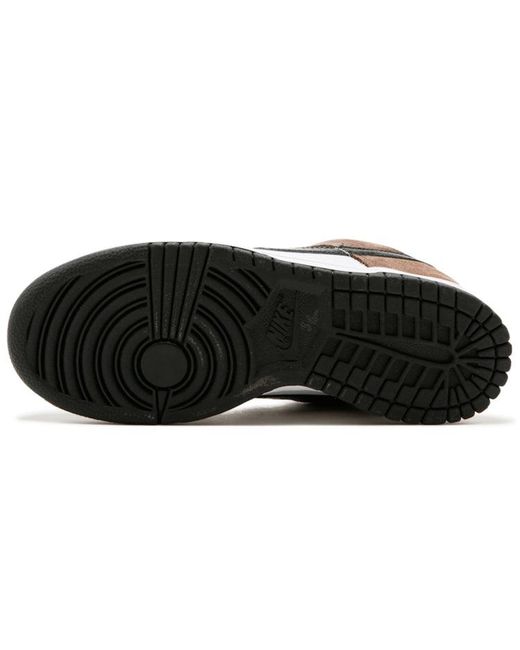 Nike Brown Sb Dunk Low Pro 'Trail' for men