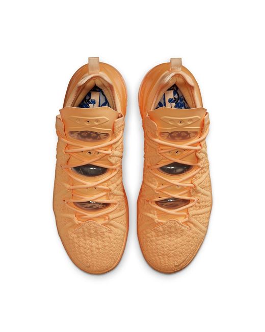 Nike Brown Lebron 18 'Sisterhood' for men