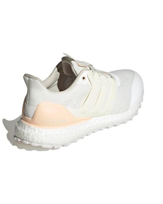 Adidas White (Wmns) Ultraboost Dna Guard 'Chalk Bliss'